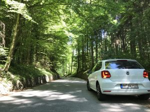 White car driving through forested road.