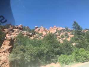 Red rocks and trees on the side of the road.