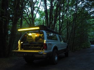 The truck parked in the forest during a rain storm.