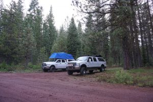 Two trucks parked in the forest.