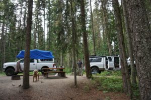 Two trucks parked in the forest with a dog and adult posing for the camera.