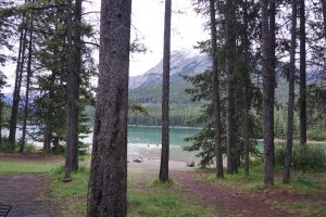 A view of Two Jack Lake through the trees with two men in the lake.