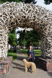 Caitlin and Oakley posting under an arch made of antlers.