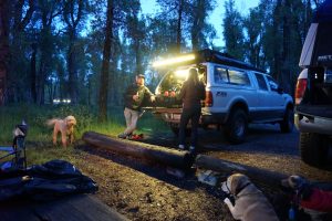 Two adults and three dogs at a campsite.