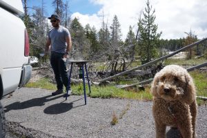 Jesse making breakfast in Yellowstone National Park with Oakley in the foreground.