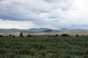 A landscape of sand dunes in Idaho.