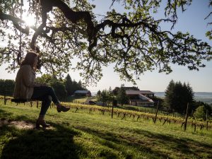 Caitlin sitting on a tree swing overlooking vineyards.