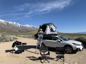 Oakley and Tucker peeking out of the rooftop tent.