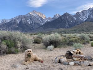 Oakley with mountains in the background.