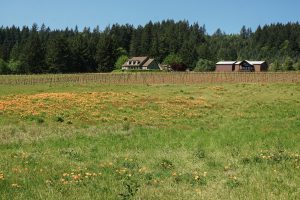 View of the Bells Up winery and property