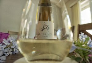 Glass of riesling with Alloro bottle in the background.