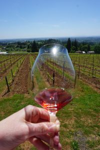 Glass of rose overlooking the vineyard