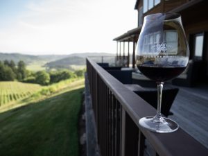 A glass of Youngberg Hill Cuvée on the deck overlooking the vineyard.