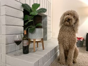 Oakley posing with the Gainey merlot.