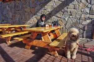 Tucker and Oakley at Mountain Rambler Brewery