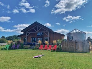 Lavender farm lawn