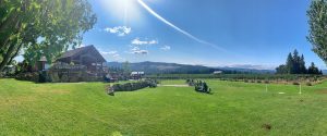 Panorama of Stave and Stone Wine Estates