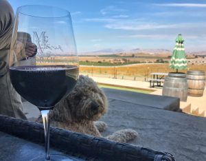 A glass of McGrail wines with Oakley in the background.