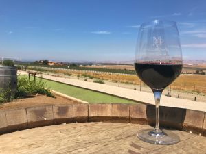 Wine glass at McGrail with the Livermore Valley in the background