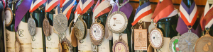 Wine bottles with medals draped around them.